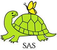 Our mascot Sassy the Turtle