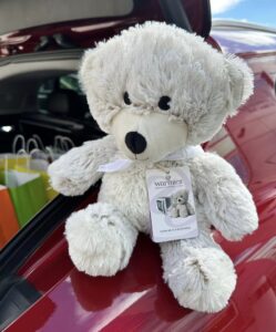 Teddy bear ready to deliver hugs