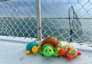 Three toy turtles on the deck of a fishing boat with a fishing net in the background