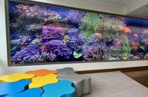 Aquarium video wall at Stony Brook Children's Hospital
