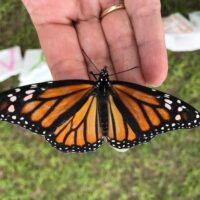 The Foundation sponsors college scholarships for kids whose lives have been disrupted by cancer