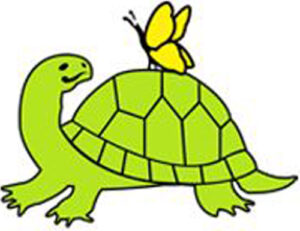 Sassy the Turtle with a butterfly friend