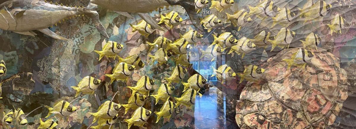 A school of fish in the virtual tank at Stony Brook Children's Hospital