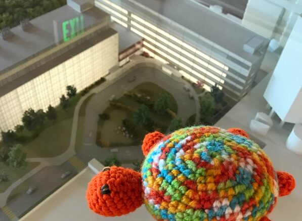 Sassy the Turtle looks out a window at Stony Brook Children's Hospital